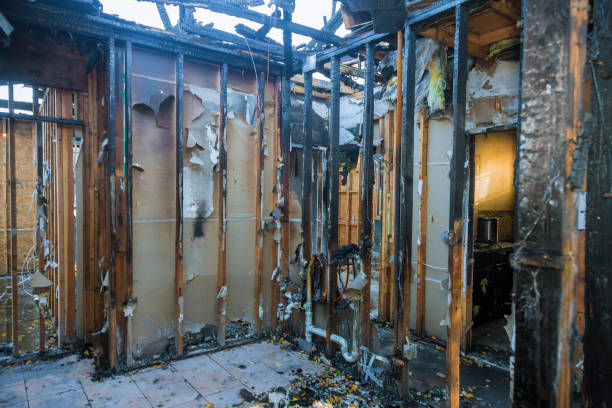 Professional Fire Damage Repair technician working in Mead, WA